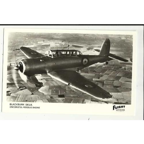 Aviation BLACKBURN SKUA Postcard by Flight International