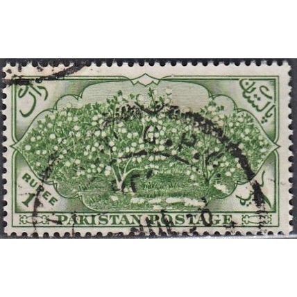 PAKISTAN, 1954 1r Tea Garden, SG 70 (Scott #71), used