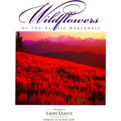 Wildflowers Of The Pacific Northwest