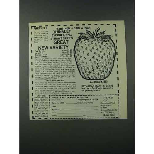1986 House of Wesley Quinault Everbearing Strawberries Ad