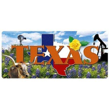 Texas the Lone Star State 3D Fridge Magnet