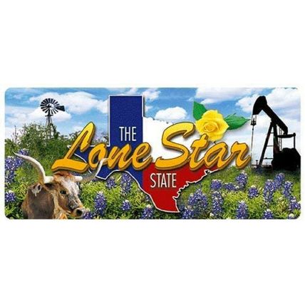 Texas the Lone Star State 3D Fridge Magnet