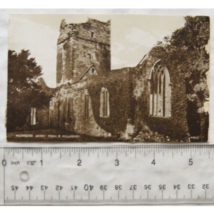 vintage postcard Muckross Abbey, Killarney