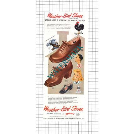 Weather-Bird Shoes Peters St Louis USA ADVERT - 1947 Clipping / Print
