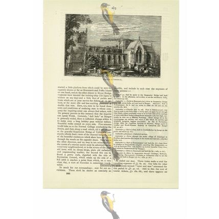 Bangor Cathedral, Anglesey, Wales, Victorian Book Illustration (Print), 1887