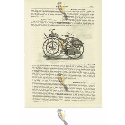 Steam Tricycle, Victorian Invention, Book Illustration (Print), 1887