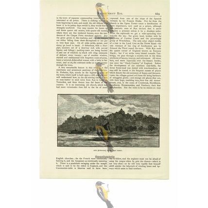 Rye (Evening) From The Ferry, Sussex, Book Illustration (Print), 1887