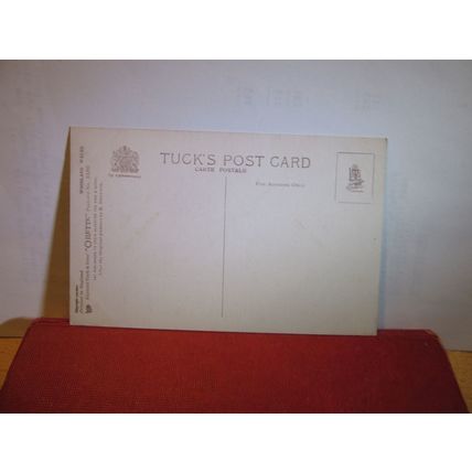 WOODLAND DAFFODILS unused antique postcard by R. Tuck 'Oilette' =