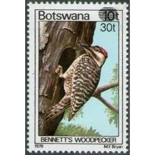 Botswana 1981 30t surcharge 10t Woodpecker Unmounted Mint NHM SG 498 stamp bird