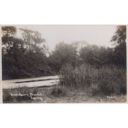 Amesbury Banks Epping Real Photo Postcard