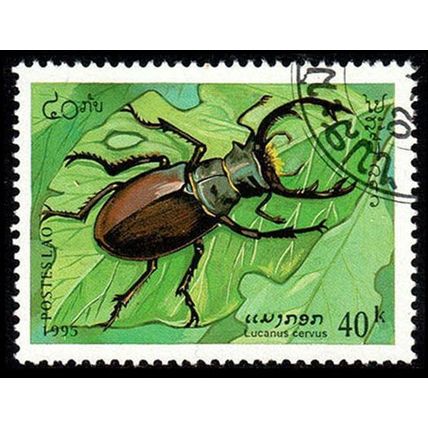 Laos 1995 Insects 40k Used Stamp Beetle