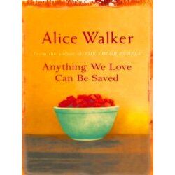 Anything We Love Can Be Saved