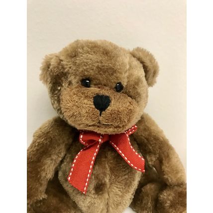 NEW ProFlowers Teddy Bear Toy Plush 8" Stuffed Animal with Red Bow Item# BE1653