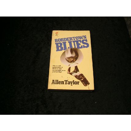 Bordertown Blues by Allen Taylor