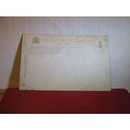 BUFFALO, BYSON, IN THE ROCKIES unused antique postcard by R. Tuck. 'Oilette' =
