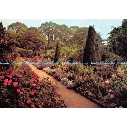 D024353 Hidcote Manor Gardens. The Old Rose Walk. Dixon. The National Trust