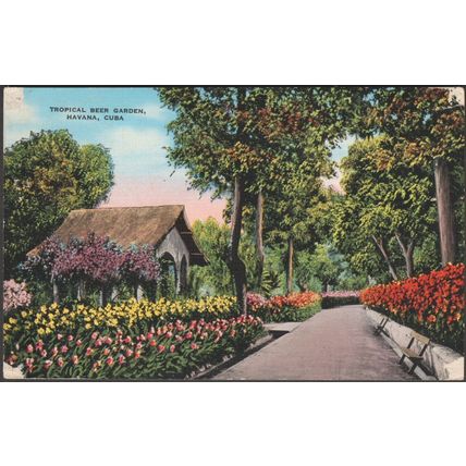 Tropical Beer Garden, Havana, Cuba, c.1940s - Roberts Postcard