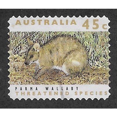 AUS 1992 45c(S/A) 'PARMA WALLABY'(PHOS BANDS)(LITHO) FINE USED (EBID60-037)