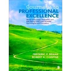 Journeys to Professional Excellence: Stories of Courage, Innovation - Bemak