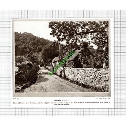 Porlock Horner Valley - 1920's Cutting