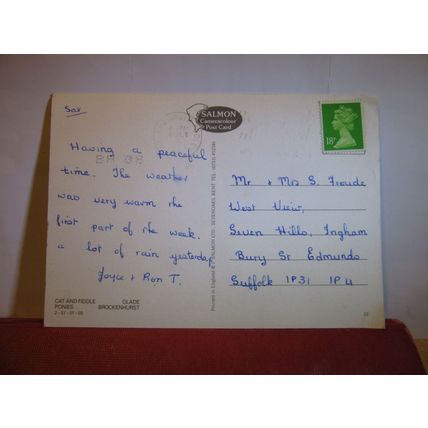 THE NEW FOREST, HAMPSHIRE multiview. used postcard by J. Salmon 1991? pm #