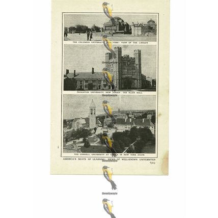 Seats Of Learning, Columbia, Princeton & Cornell, USA, Book Illustration, 1909