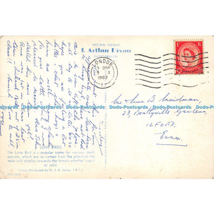 D024363 Love Birds. Dr. S. D. Jouhar. F. R. P. S. Dixon. 1962