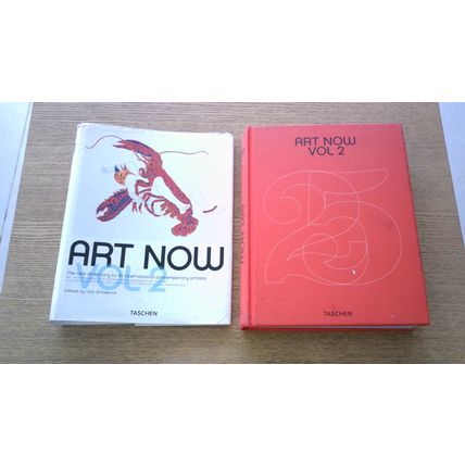 ART NOW Vol 2: The New Directory to 81 International Contemporary Artists. (H/B)
