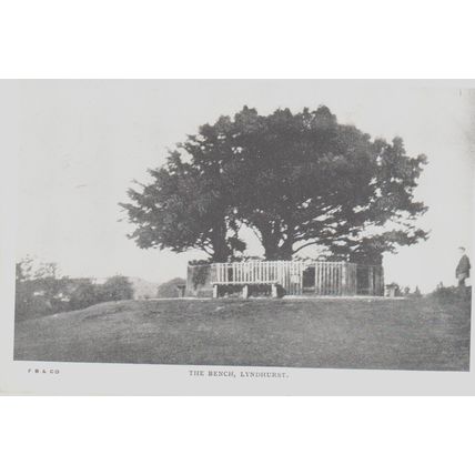 The Bench Lyndhurst Hampshire Postcard (QHAM180)