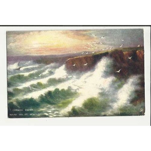 1495 Cornwall NEWQUAY Rough Sea Tuck Oilette Postcard