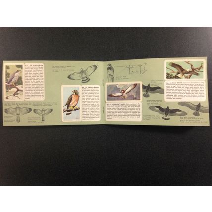 1940-60 Brooke Bond Album 4 Red Rose Tea 48 Cards Full Booklet Birds of NA #3