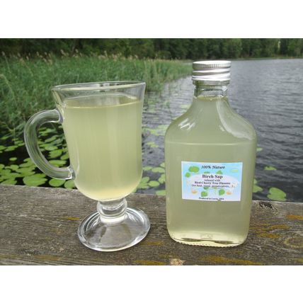 200ml natural fermented Birch Sap / Juice / from the wild forest of Latvia