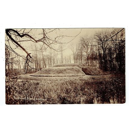 Dorset postcard The Mount Bindon Abbey
