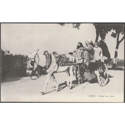 Ready for a Drive, Cairo, c.1910s - Postcard LC184