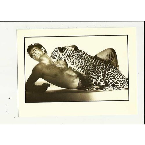 ANIMAL MAGNETISM (Spencer Rowell) Athena Postcard (650097)
