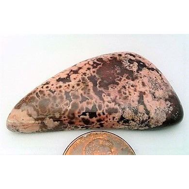 Pink Jasper Freeform Gemstone Cabochon 63