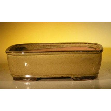 "Olive Green Ceramic Bonsai Pot - Rectangle12.0"" x 9.5"" x 3.375"""