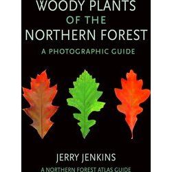 Woody Plants Of The Northern Forest
