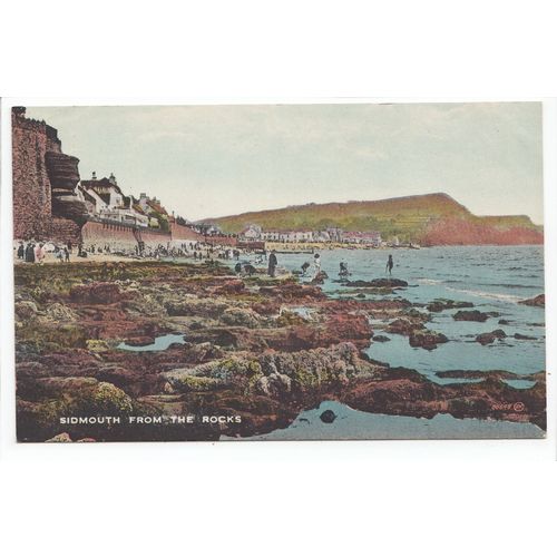 Sidmouth from the Rocks Postcard Devon 86648
