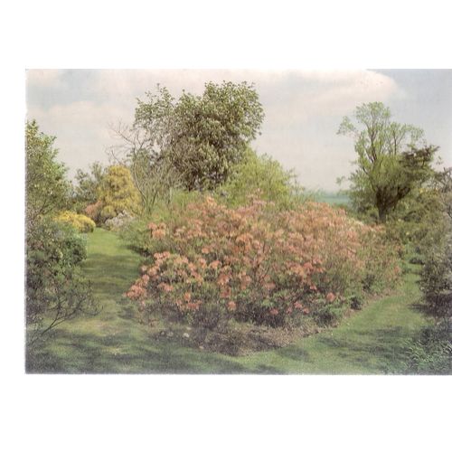 EMMETTS GARDEN, IDE HILL, SEVENOAKS, KENT.. used postcard 1993 =