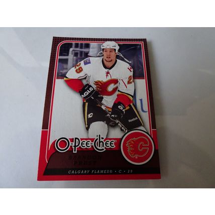 2008-09 O-Pee-Chee Hockey Card # 713 Brandon Prust Excellent (5) Calgary Flames
