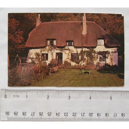 vintage postcard Green Walk Cottage, Milton Abbey