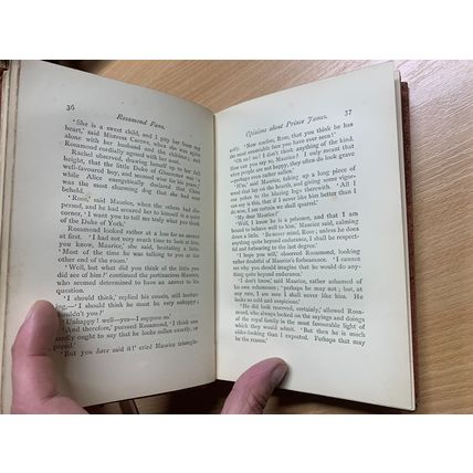 RARE* 1880s MARY & CATHERINE LEE "ROSAMOND FANE" FICTION ANTIQUE BOOK (P4)