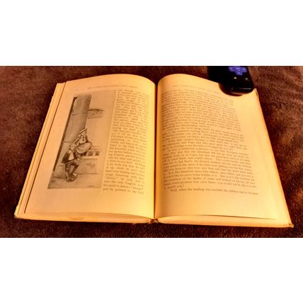 How A Dear Little Couple Went Aboard By Mary D. Brine 1903 Great Condition