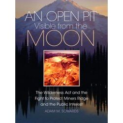 The Environment In Modern North America-An Open Pit Visible From The Moon
