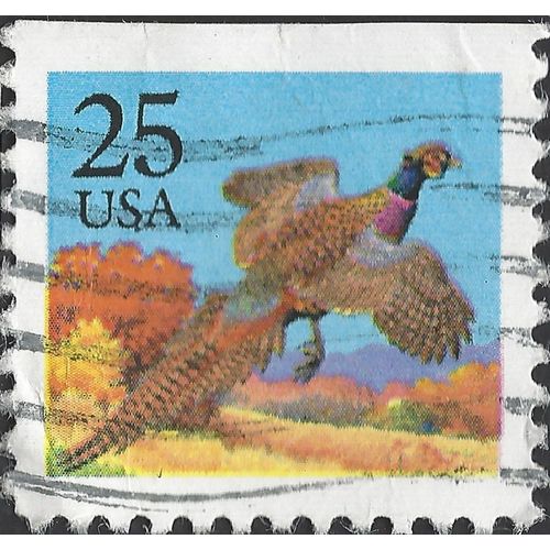 USA, BIRD, Ring-necked Pheasant, Phasianus colchicus, blue 1988, 25c