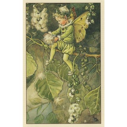 The Poplar Flower Fairy from WW2 Book Stunning Postcard