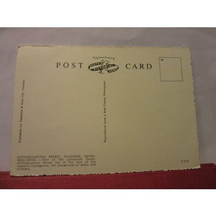 ROTHIEMURCHUS FOREST, AVIEMORE, SCOTLAND unused postcard =