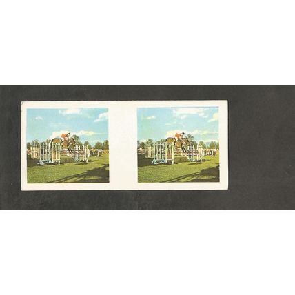 Weetabix 3D Cards 1960 Thrill #22 Show Jumping