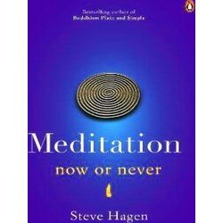 Meditation Now Or Never